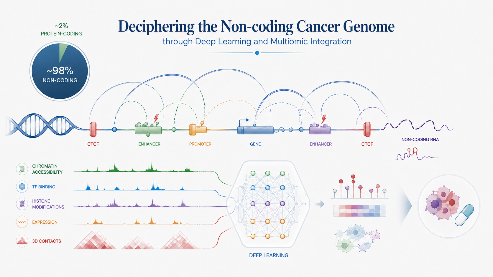 Deciphering the Non-coding Cancer Genome